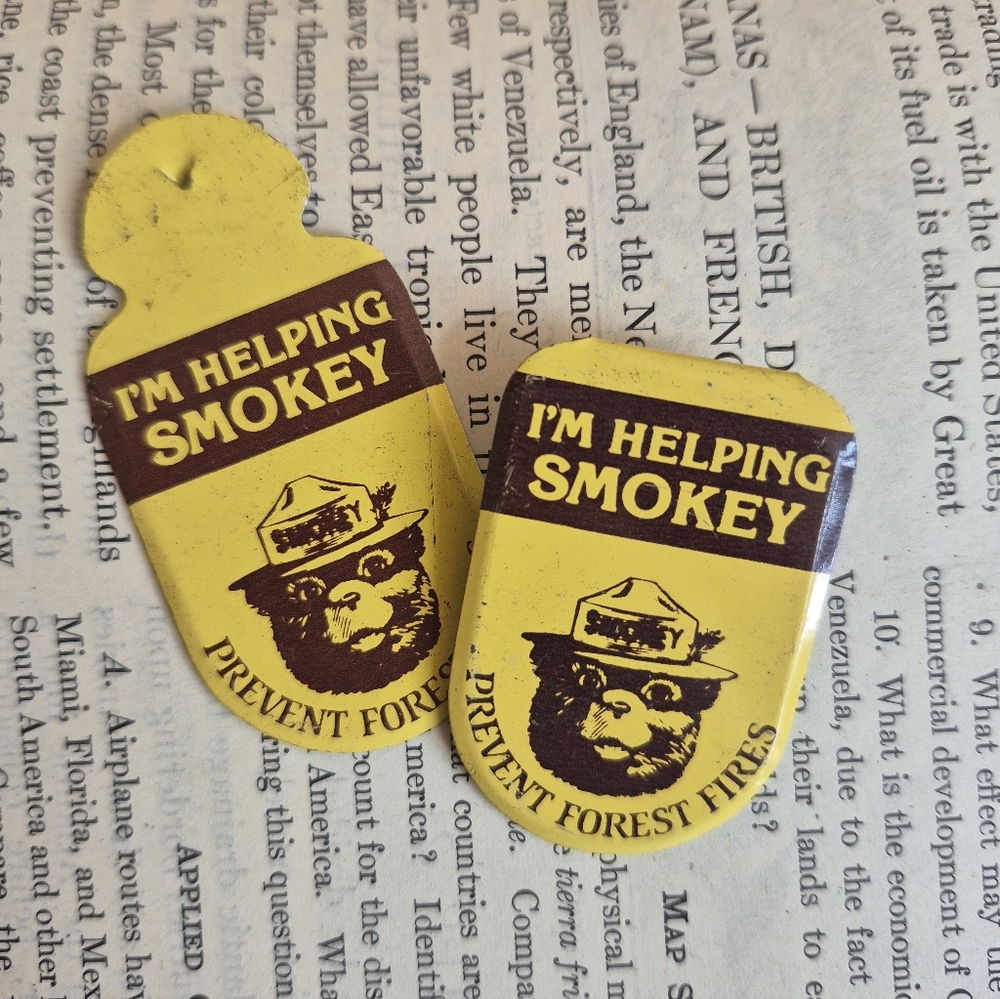 Smokey The Bear Lapel Pin